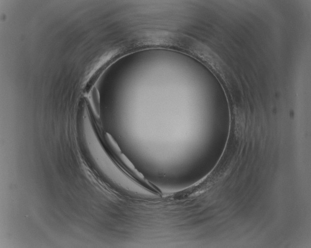 X0000068750482200605010940