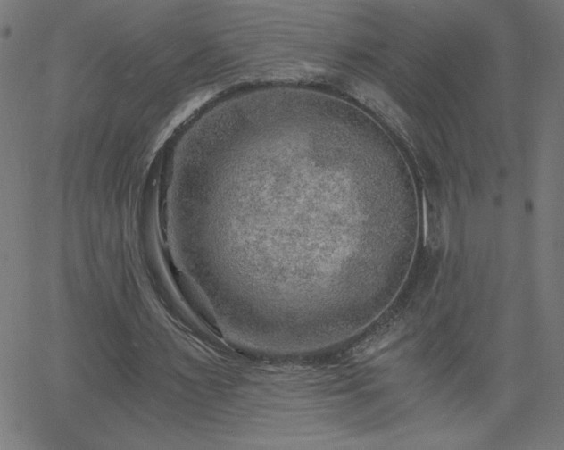 X0000068750483200605010940