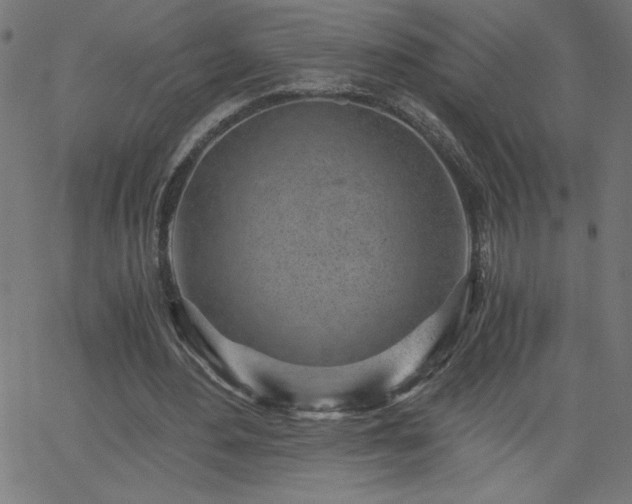 X0000068750484200605010940