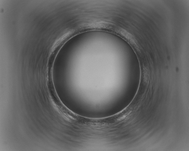 X0000068750486200605010940