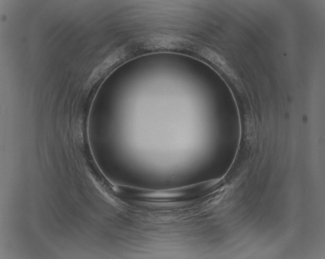 X0000068750489200605010940