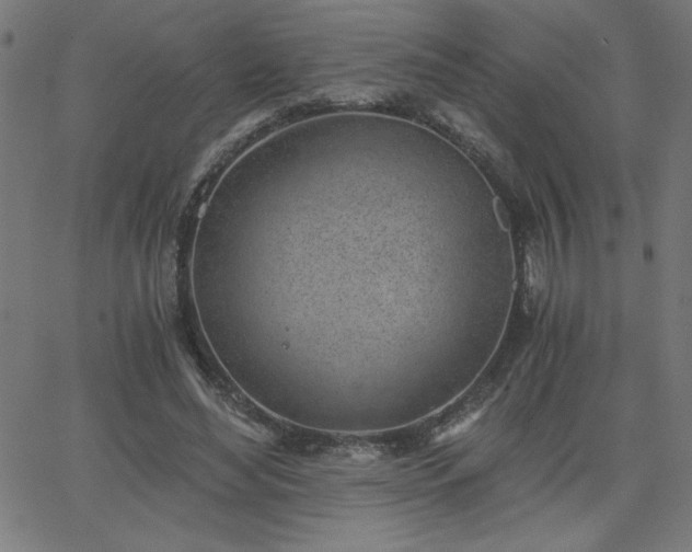 X0000068750492200605010940