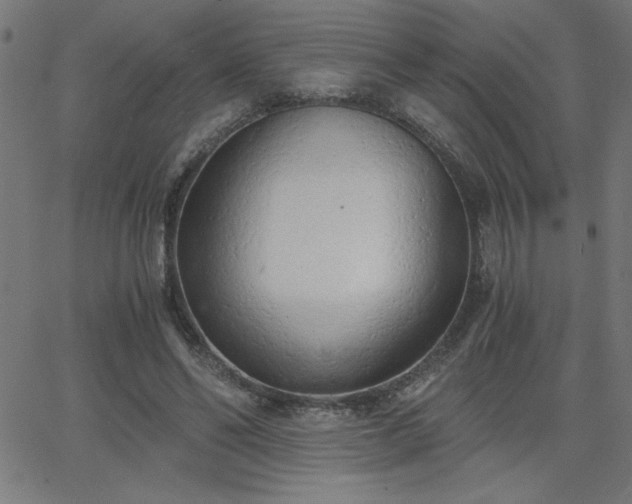 X0000068750494200605010940