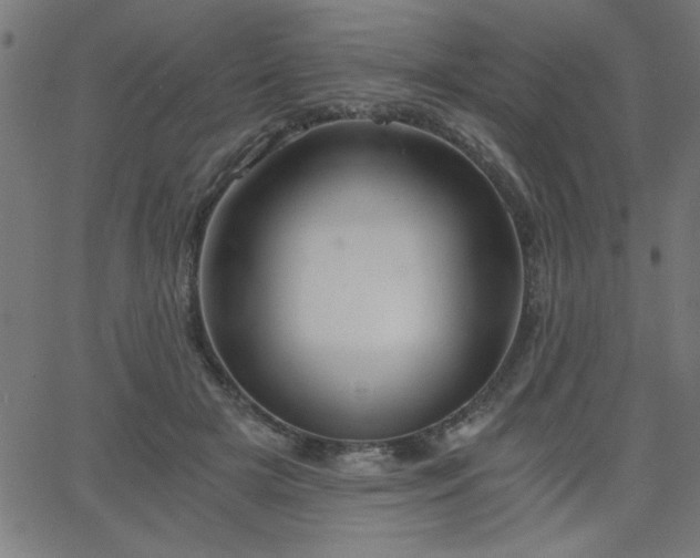 X0000068750505200605010940