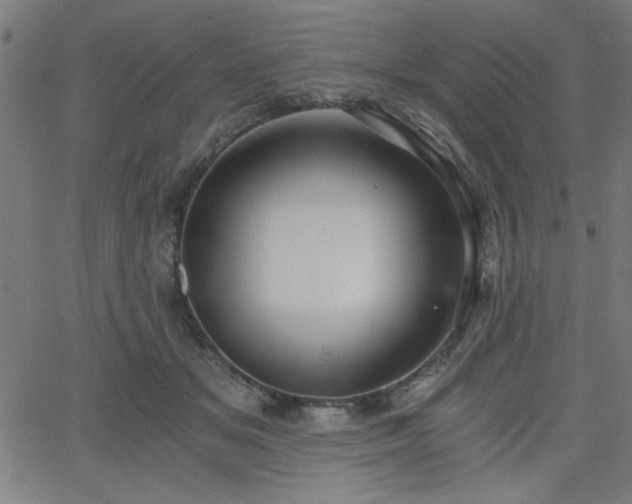 X0000068750509200605010940