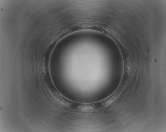 X0000068750512200605010939