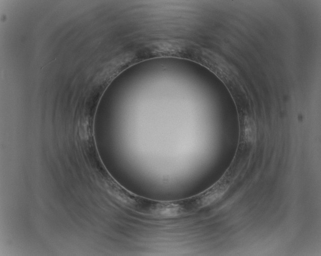 X0000068750514200605010939