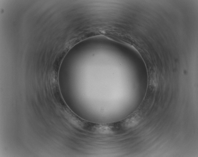 X0000068750518200605010939