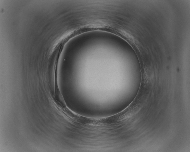 X0000068750535200605010939