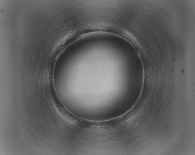 X0000068750538200605010939