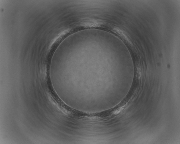 X0000068750539200605010939