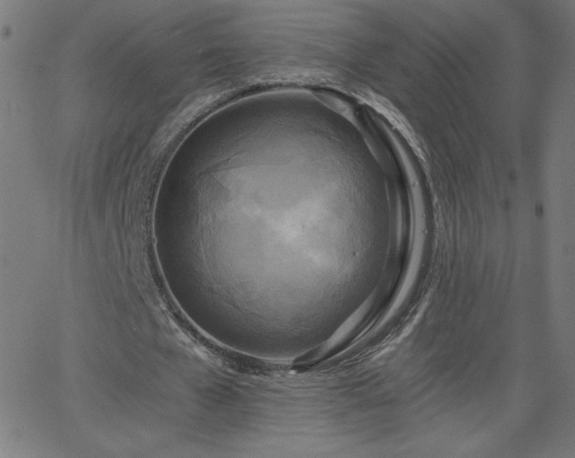 X0000068750577200605010938