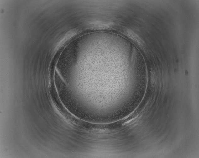 X0000068750582200605010938