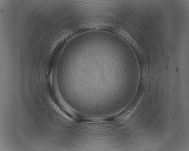 X0000068750585200605010938