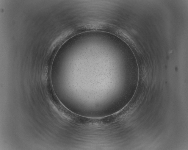 X0000068750586200605010938