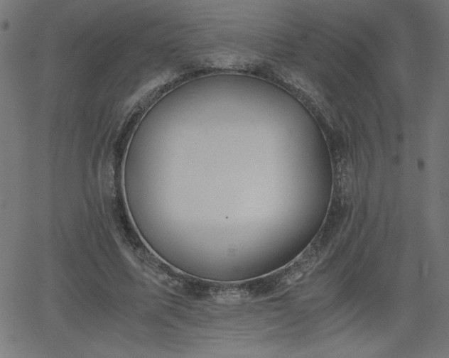 X0000068750587200605010938