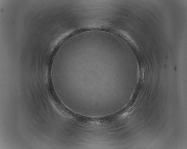 X0000068750588200605010938