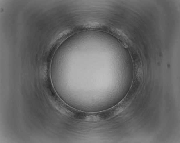 X0000068750591200605010938