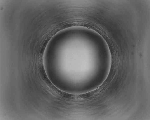 X0000068750601200605010938
