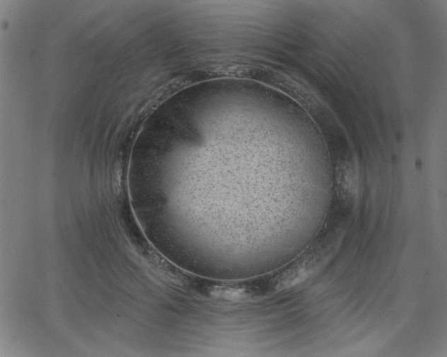 X0000068750602200605010938
