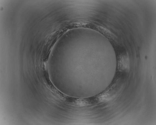 X0000068750608200605010938