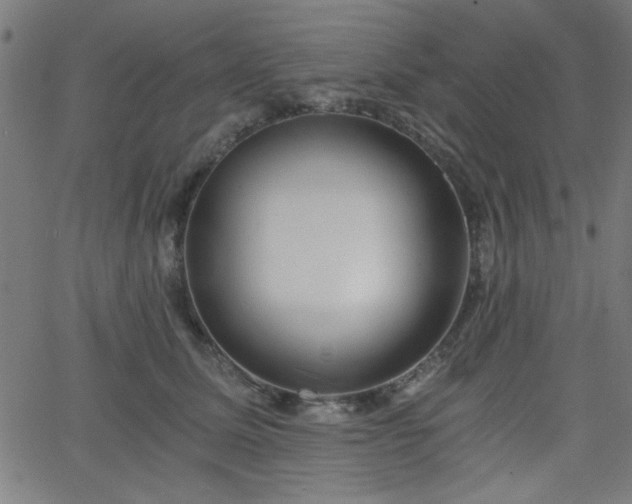 X0000068750611200605010938