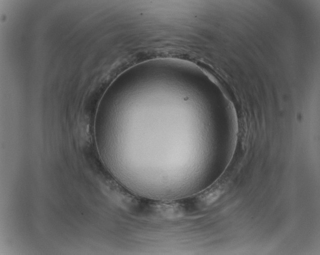 X0000068750615200605010938