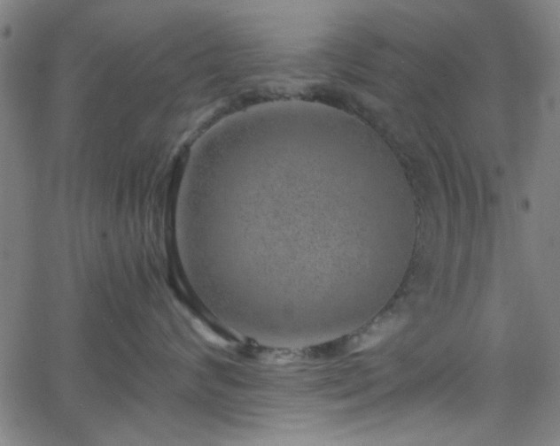 X0000068750624200605010938