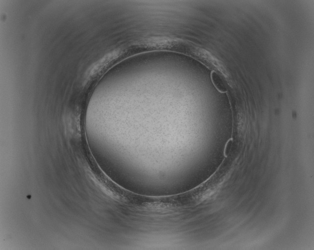 X0000068750633200605010937