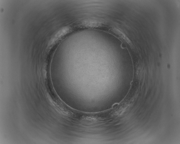 X0000068750635200605010937