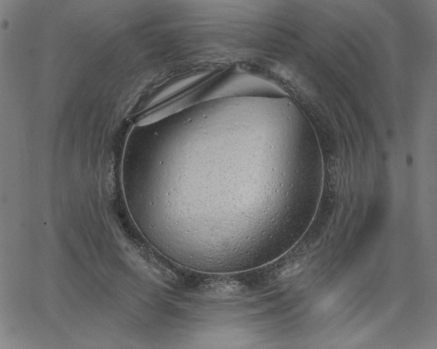 X0000068750642200605010937
