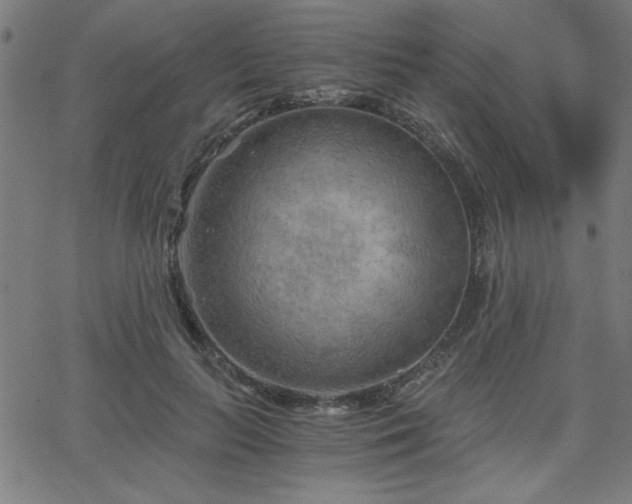 X0000068750647200605010937