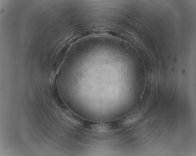 X0000068750652200605010937