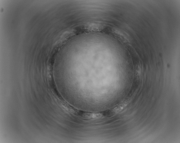 X0000068750663200605010937