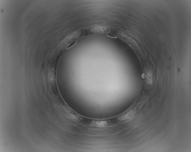 X0000068750665200605010937