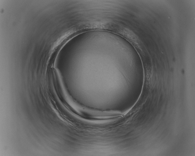 X0000068750674200605010937