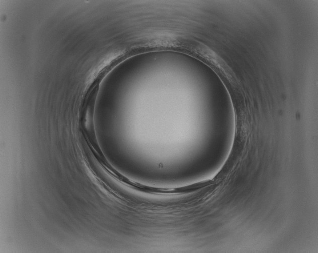 X0000068750677200605010937