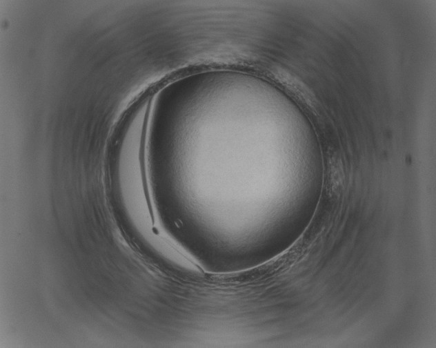 X0000068750680200605010937