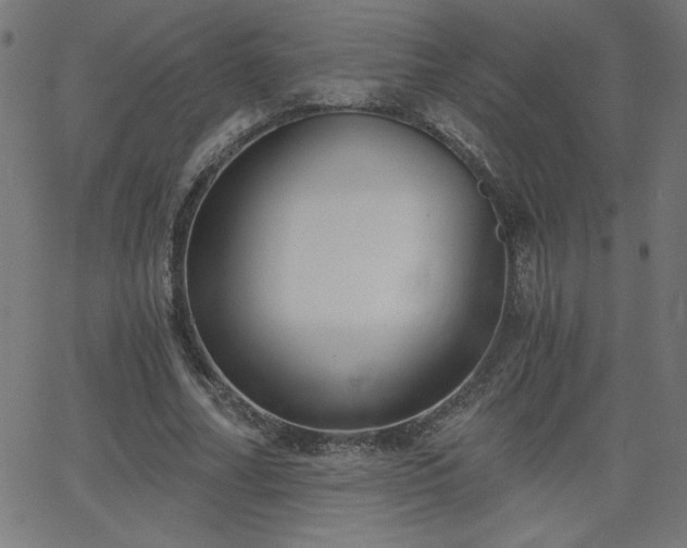 X0000068750682200605010937