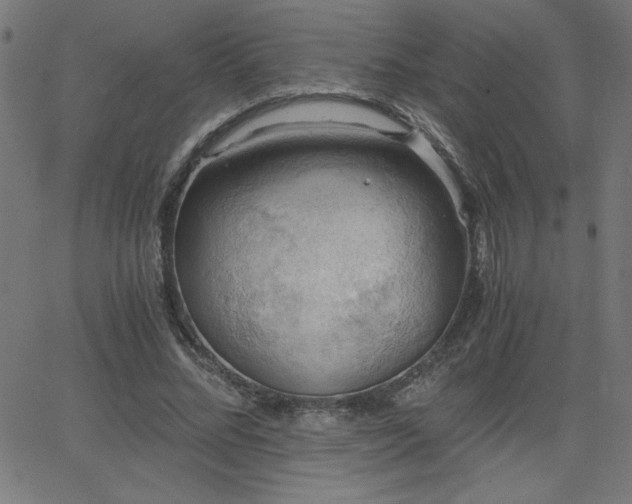 X0000068750684200605010937