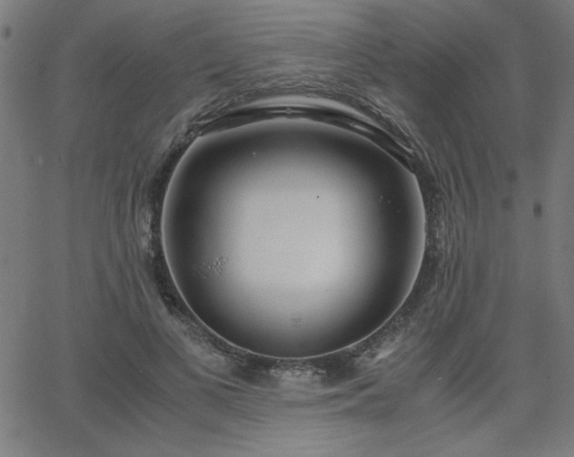 X0000068750693200605010936