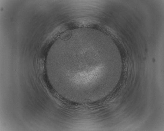 X0000068750695200605010936
