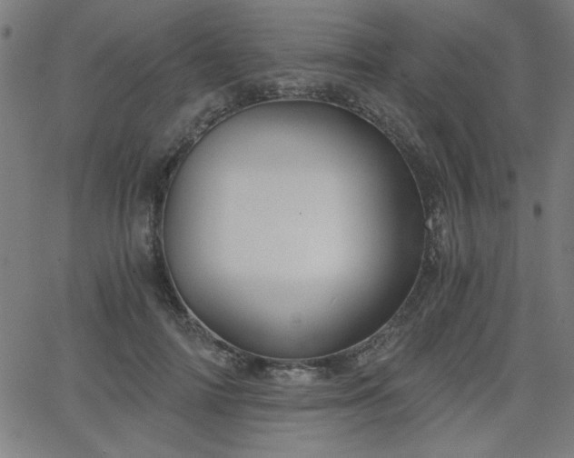 X0000068750698200605010936