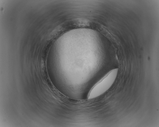 X0000068750704200605010936