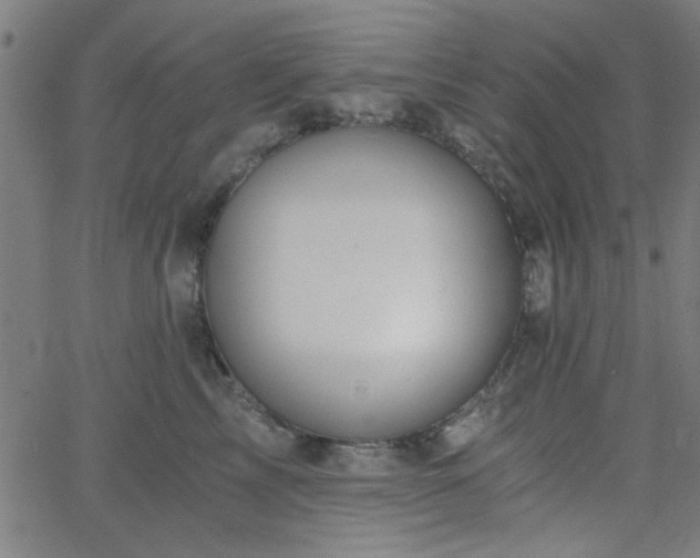 X0000068750713200605010936
