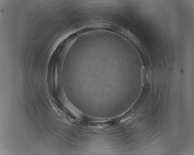 X0000068750724200605010935