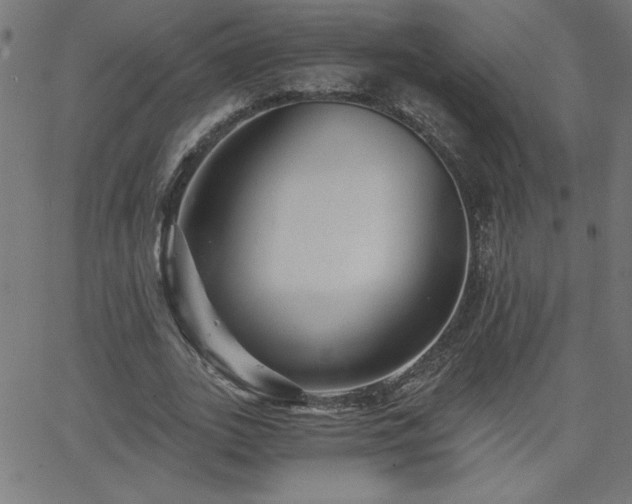 X0000068750727200605010935