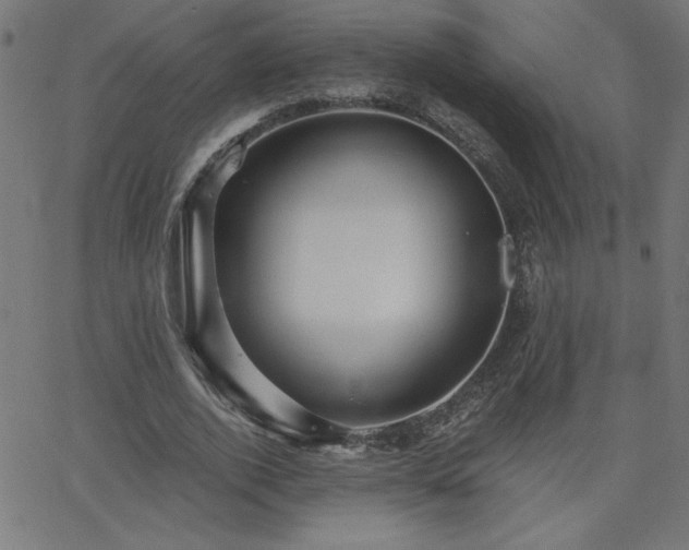 X0000068750728200605010935