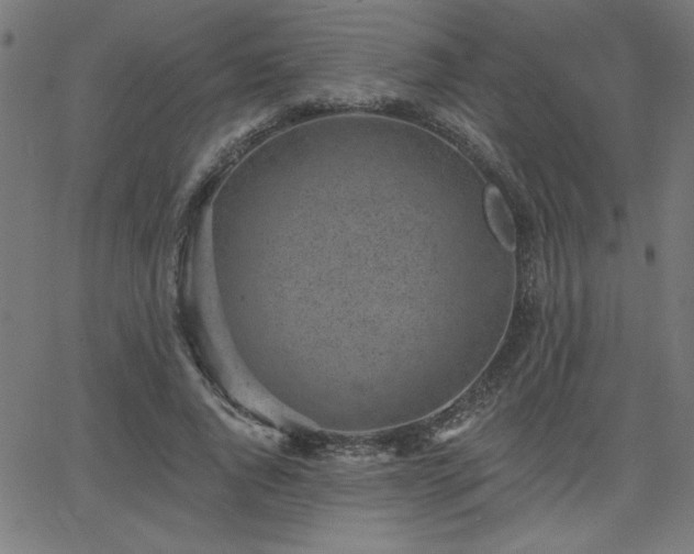 X0000068750736200605010935