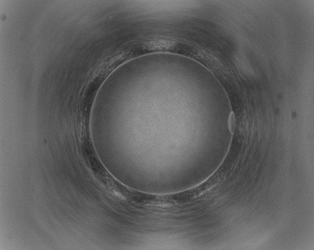 X0000068750743200605010936
